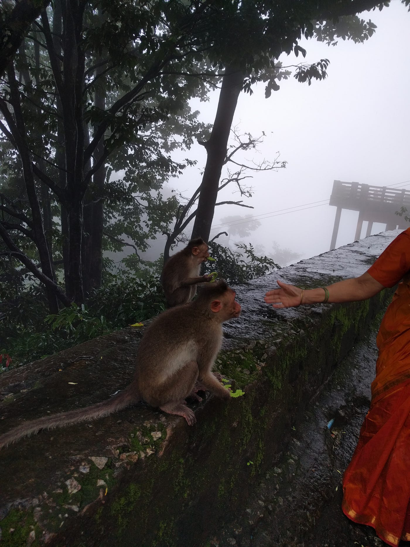 Agumbe ghat