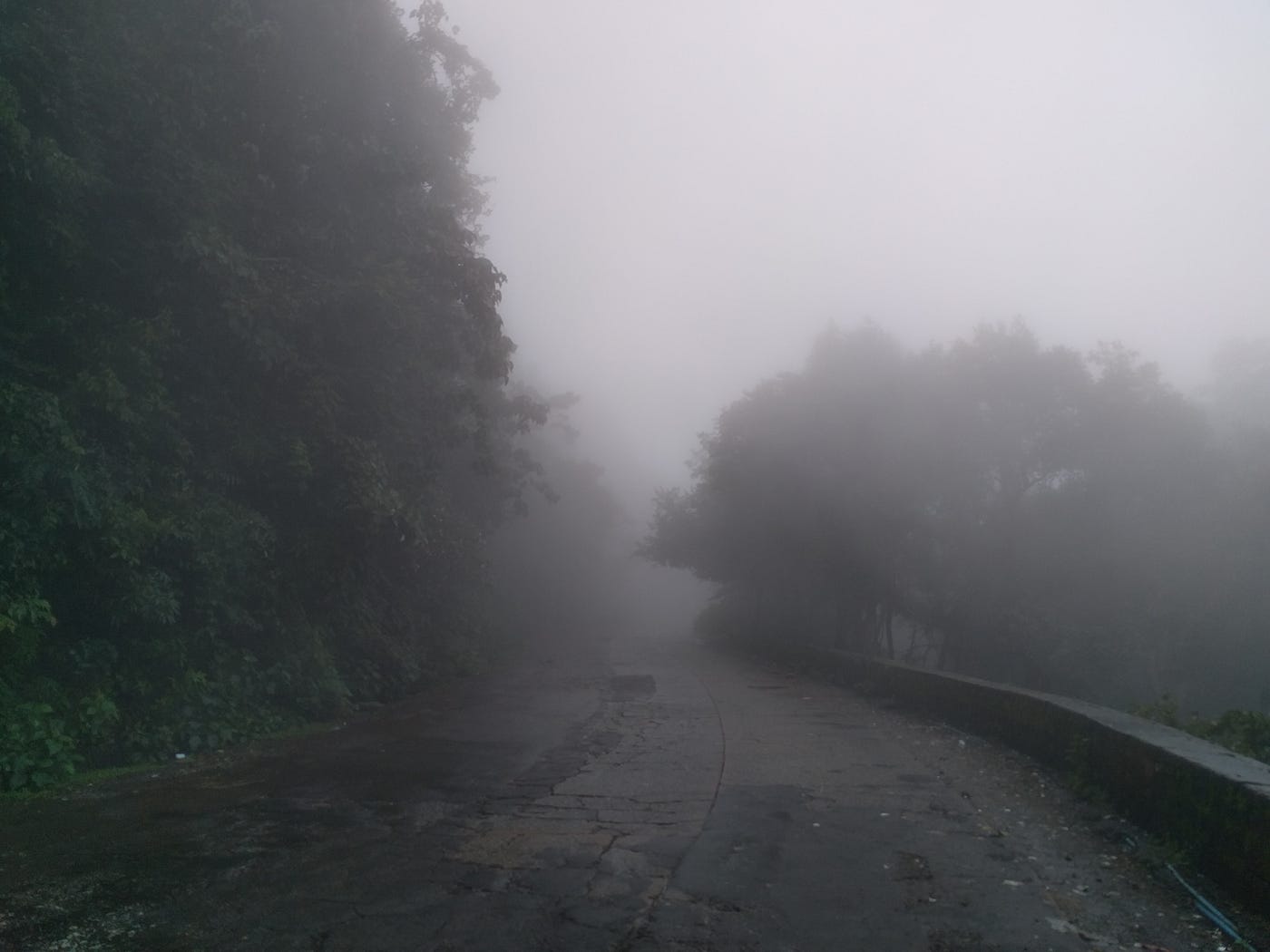 The verdant valley covered in fog