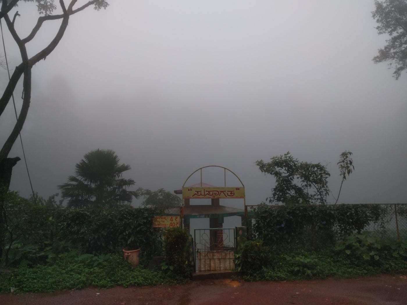The verdant valley covered in fog